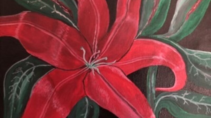 Red Lilly 