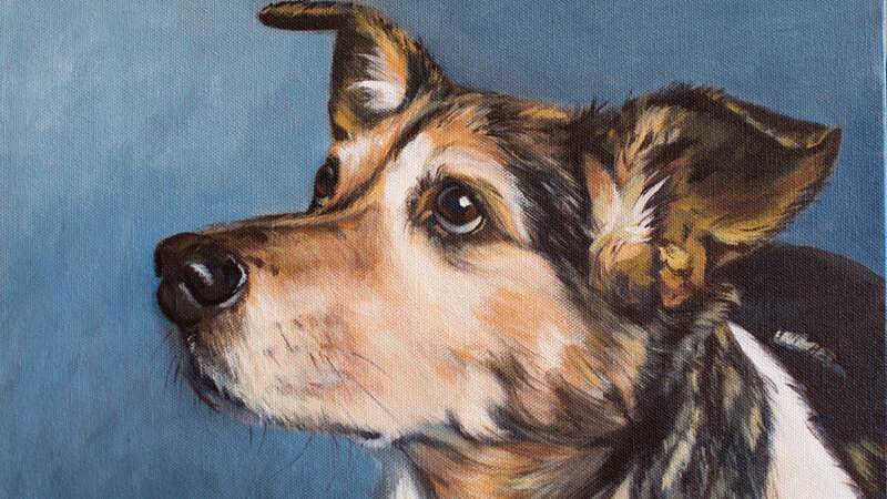 Did I Hear You Say Treat?