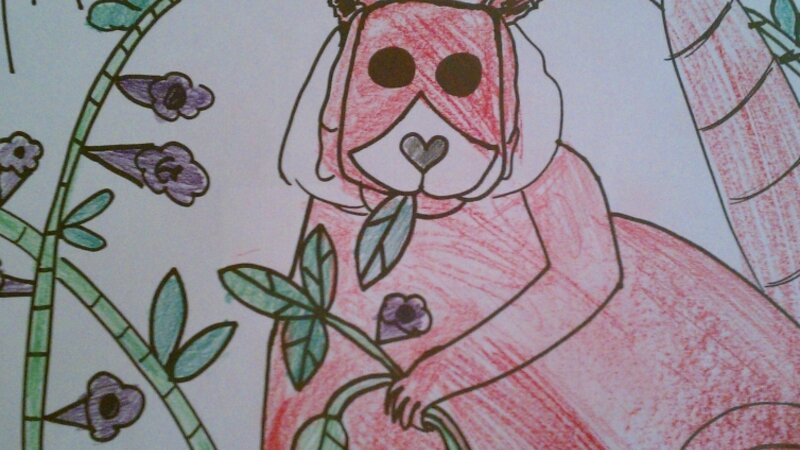 Red Panda Surprise!