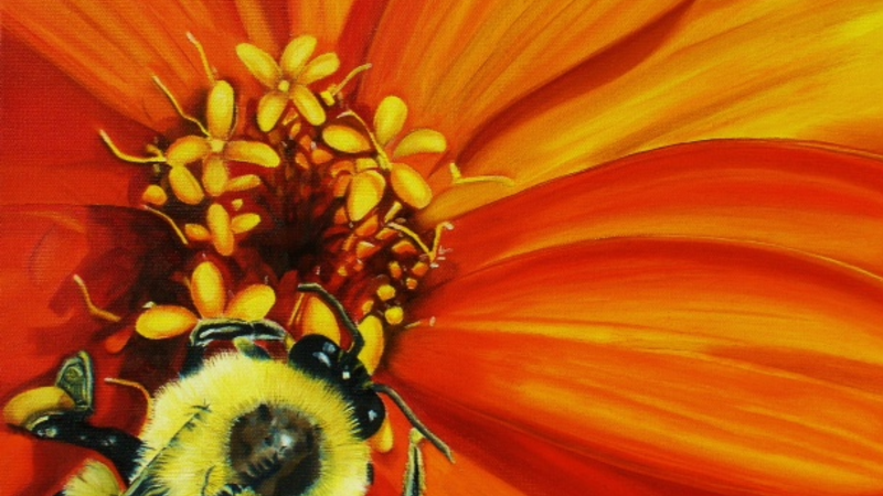 Nature's Aviator