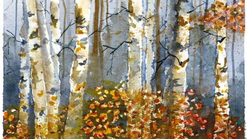 Birches