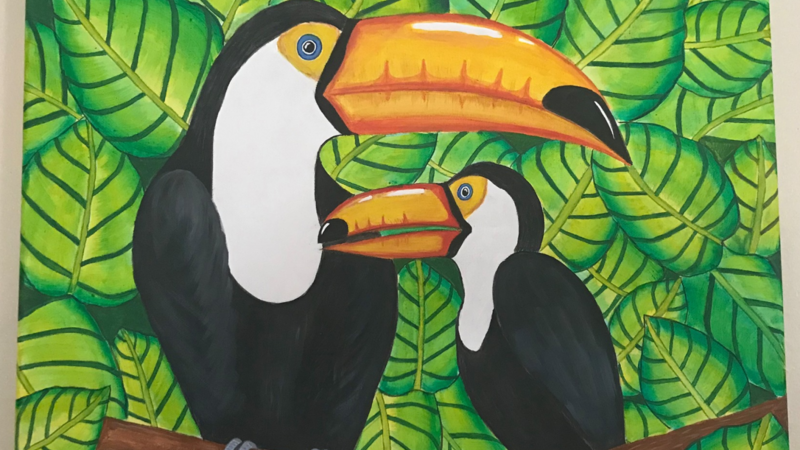 Toucans in the wild!