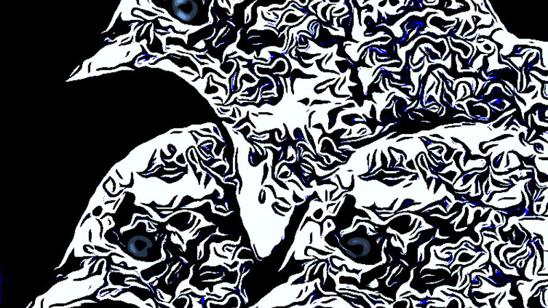 BIRDS 4