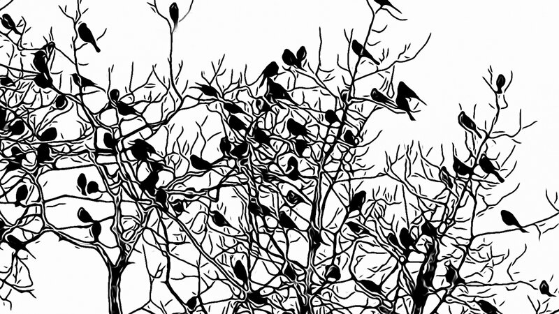 Roosting