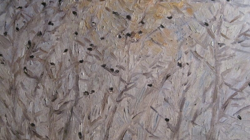 "Blackbirds over the Cape"