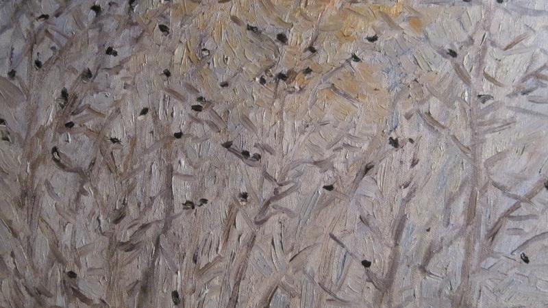 "Blackbirds over the Cape"