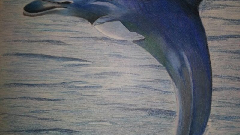 Colored Pencil on Paper