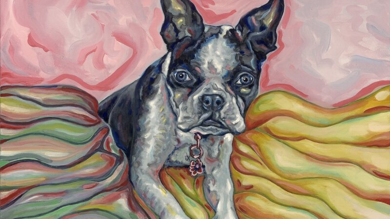 Boston Terrier