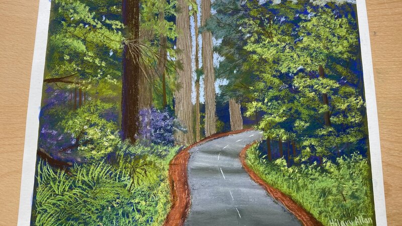 Scenic Sequoia Drive