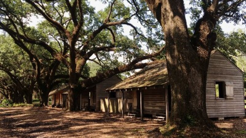 Voices from the Cabins