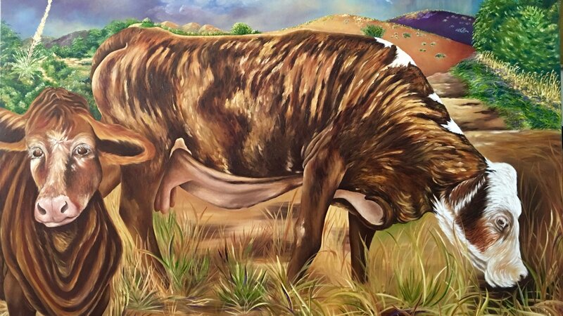 cows, desert, monsoon, calico, arizona