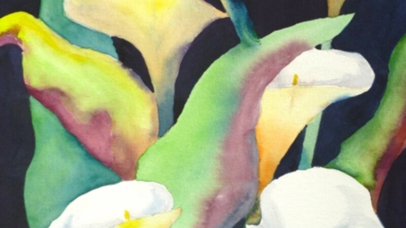 Lillies