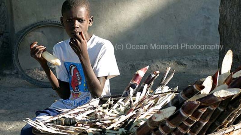 "Sugarcane vendor", 2004