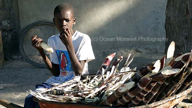 "Sugarcane vendor", 2004