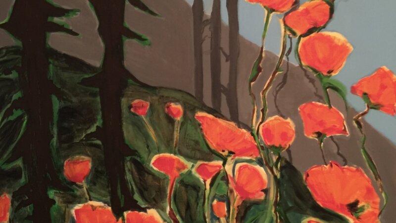 Poppies and Mountains