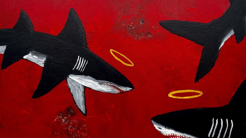 Sharks!