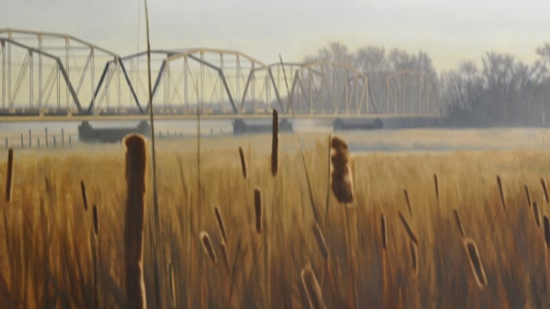 Cat-tails at the old cedar ave bridge