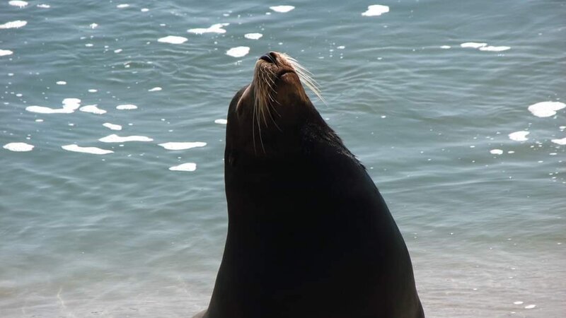 Channel Islands Harbor