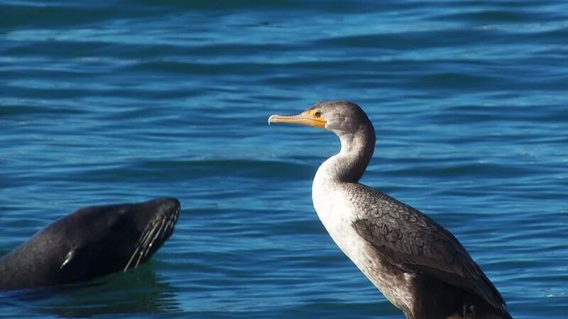 Channel Islands Harbor