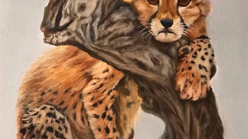 Cheetah Cub