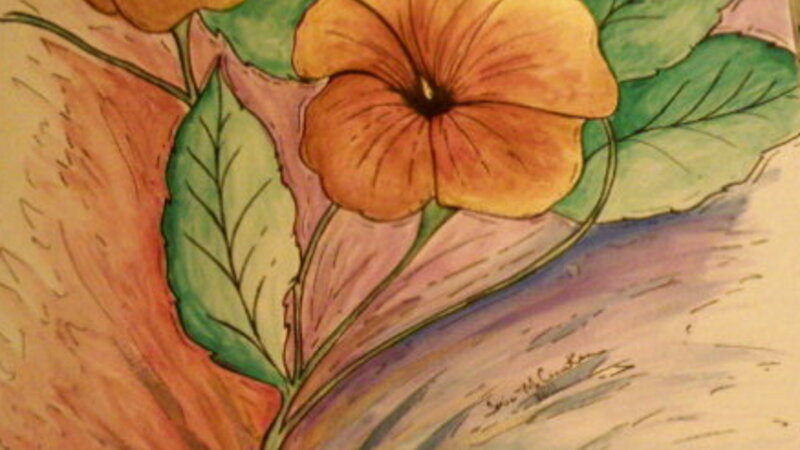 Colors