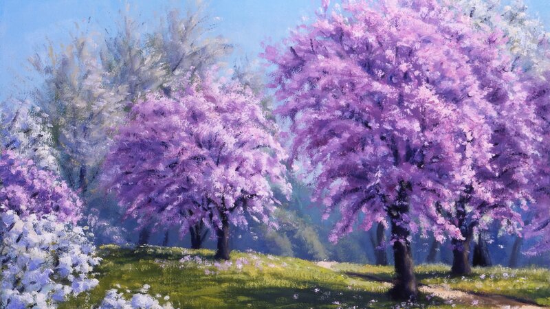Como Park Blossoms