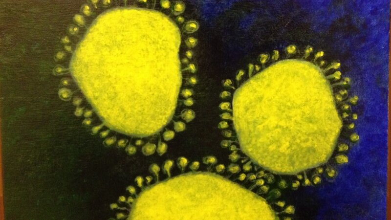 Gavin Hougham, Coronavirus painting, April 2014.