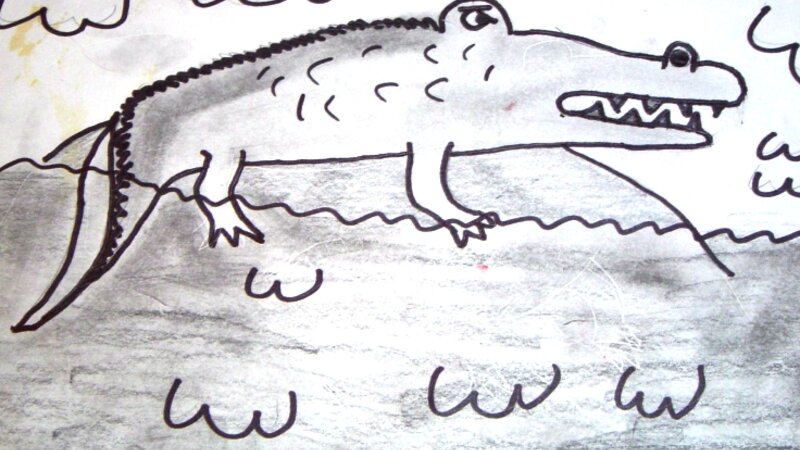 crocodile