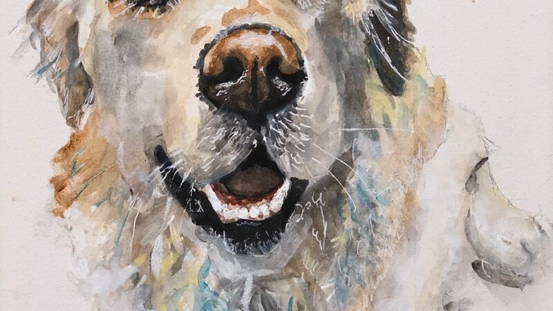 One Happy Dog