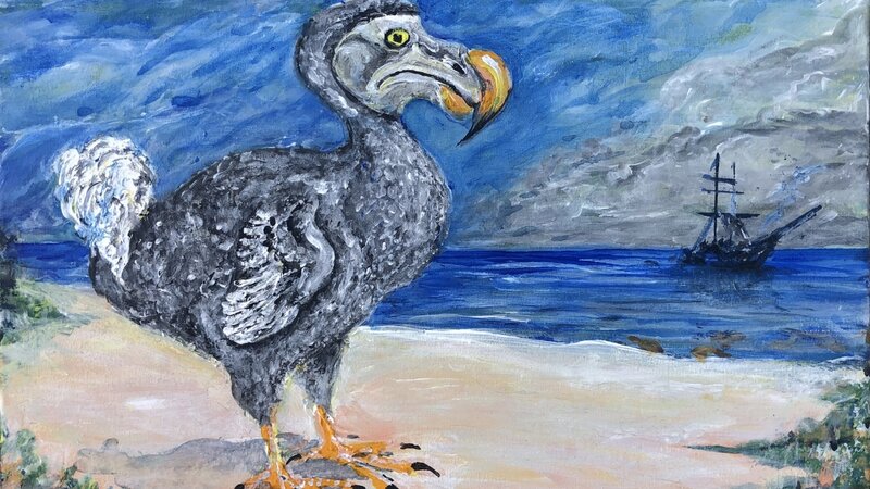 The Dodo's Last Gleaming