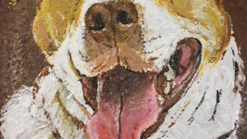 Two-toned dog portrait painted by request.