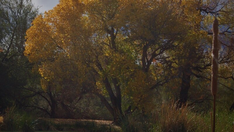 Morning rising in Arizona