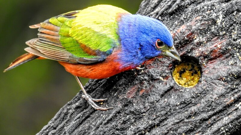 Pedernales Falls State park