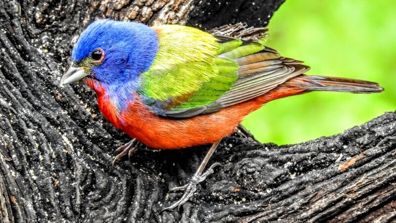 Pedernales Falls State park