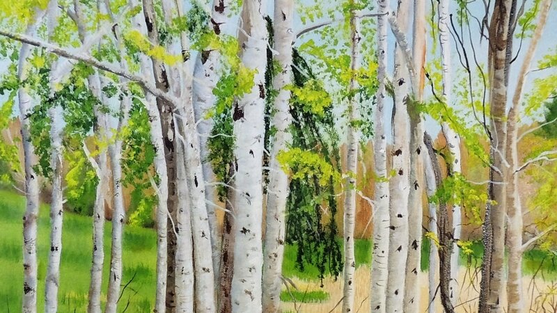 Birches Dancing in the Light
