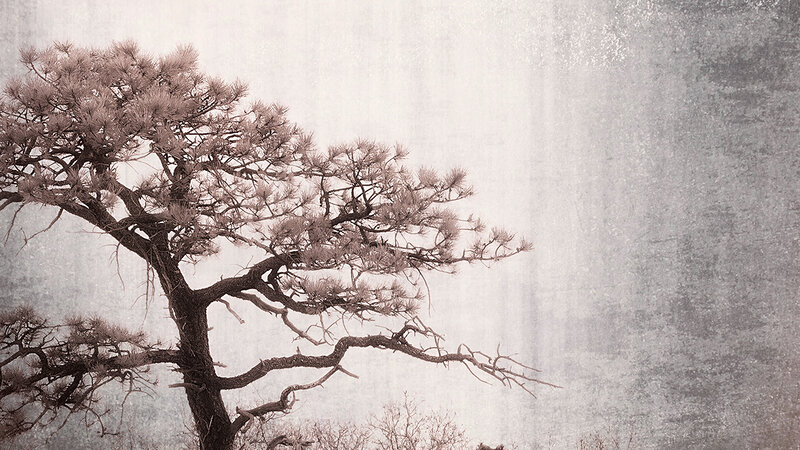 Edge of Forever