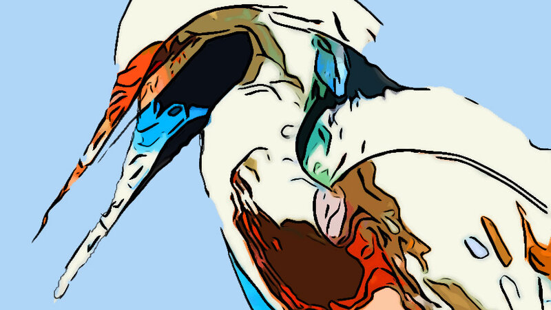 EGRET VARIATION 3