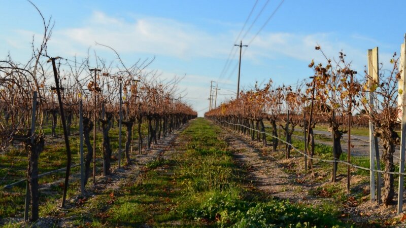 Prance towards the end