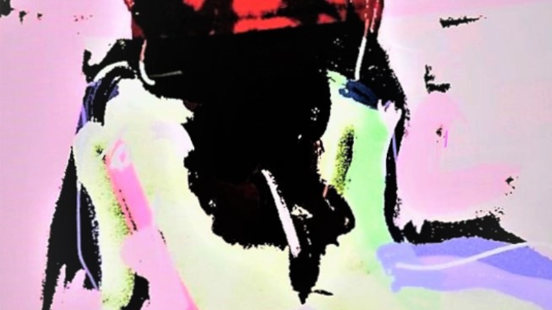 Rusalkas Pink Elphie 2 