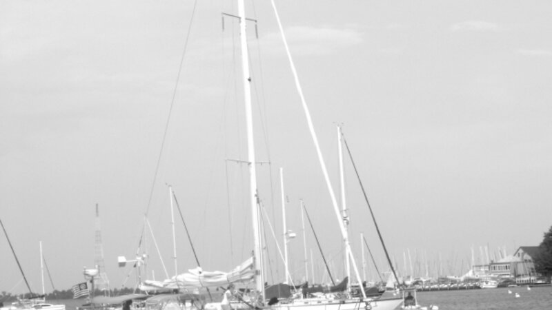 Summer Breeze