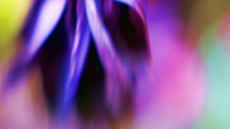 Distant Memories