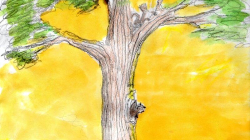 The family tree