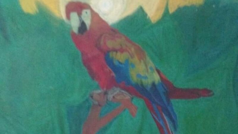 Parrot in the Amazon