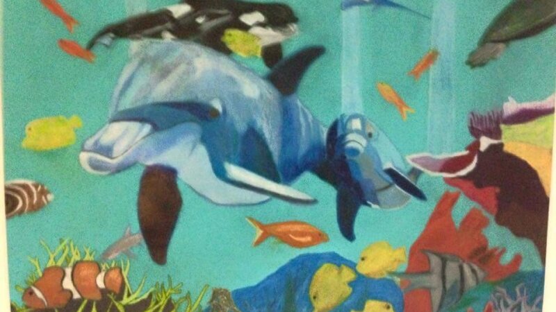 Dolphin's Cove
