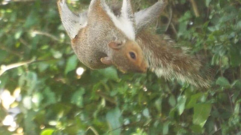 Hang In There
