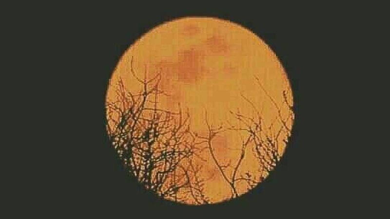 Harvest Moon