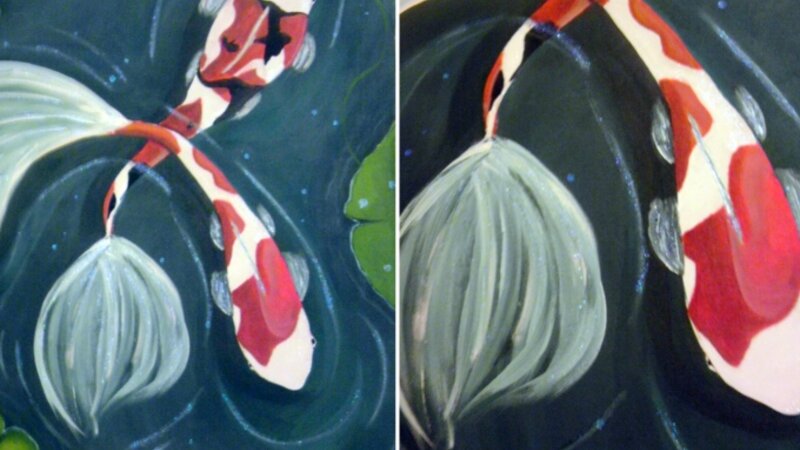 Koi 