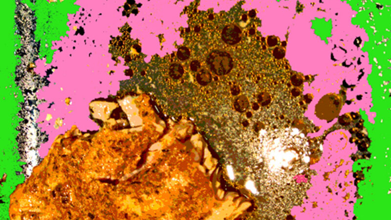 Fish in a Pan in Pink and Green