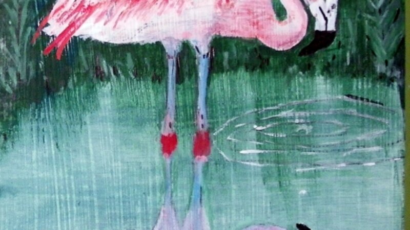 flamingo