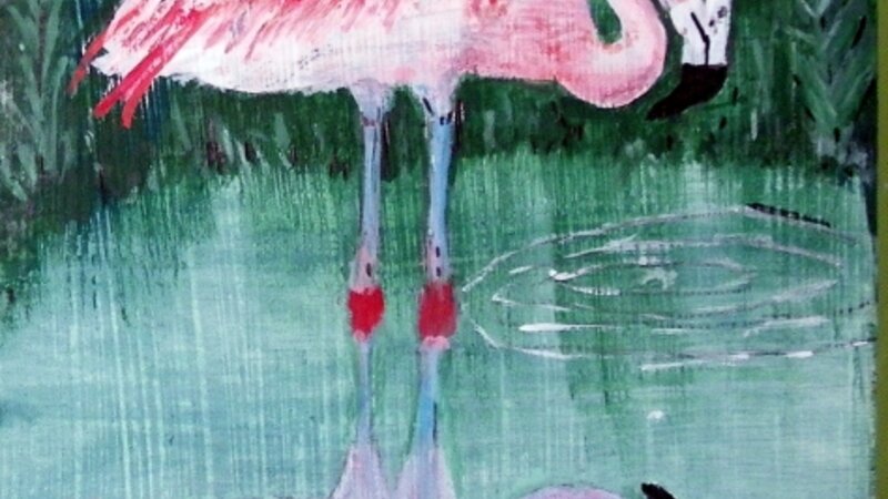flamingo